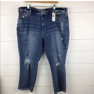 Lane Bryant High Rise Straight Magic Distressed 18